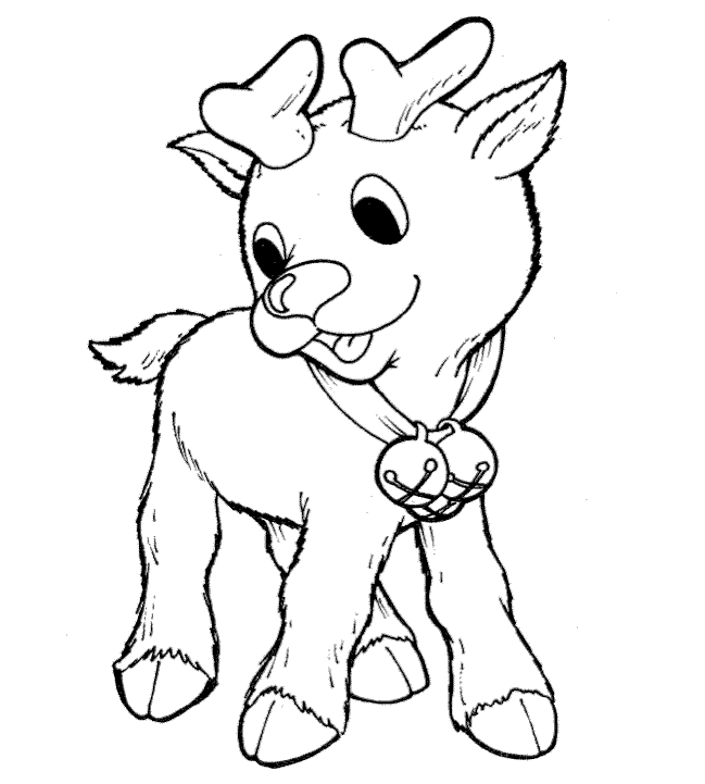 Rudolph baby reindeer picture